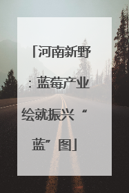 河南新野：蓝莓产业绘就振兴“蓝”图