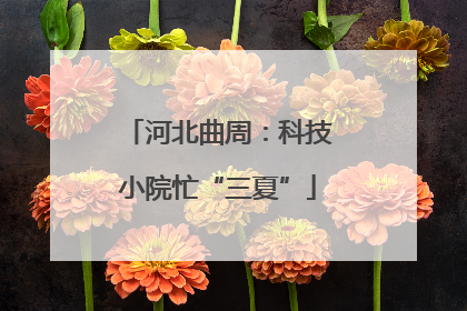 河北曲周：科技小院忙“三夏”