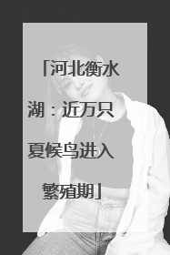 河北衡水湖：近万只夏候鸟进入繁殖期