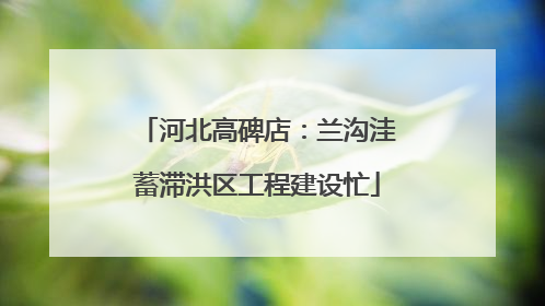 河北高碑店：兰沟洼蓄滞洪区工程建设忙