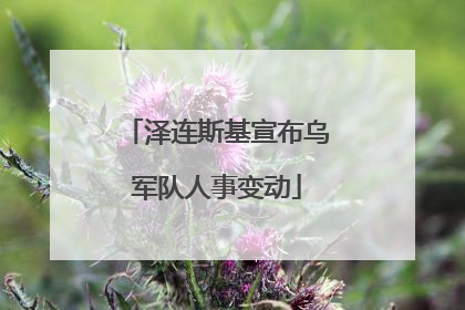 泽连斯基宣布乌军队人事变动
