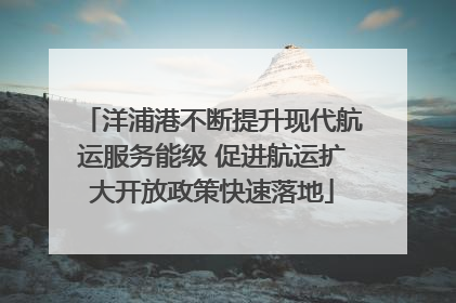 洋浦港不断提升现代航运服务能级 促进航运扩大开放政策快速落地