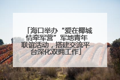 海口举办“爱在椰城 情牵军营”军地青年联谊活动，搭建交流平台深化双拥工作