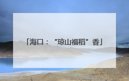 海口：“琼山福稻”香