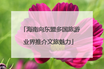海南向东盟多国旅游业界推介文旅魅力