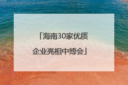 海南30家优质企业亮相中博会
