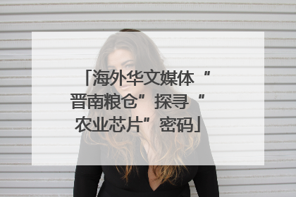海外华文媒体“晋南粮仓”探寻“农业芯片”密码