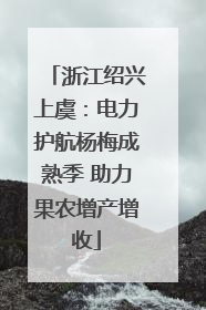 浙江绍兴上虞：电力护航杨梅成熟季 助力果农增产增收