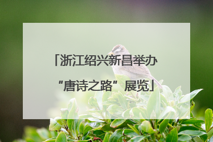 浙江绍兴新昌举办“唐诗之路”展览