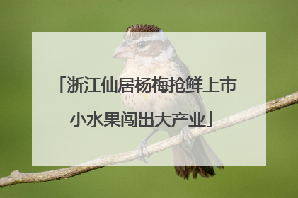 浙江仙居杨梅抢鲜上市 小水果闯出大产业