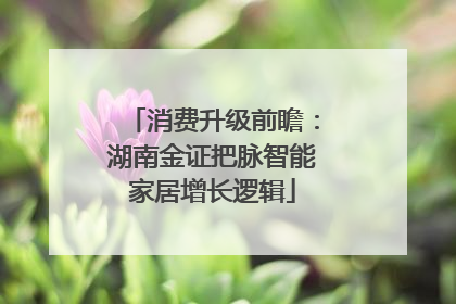 消费升级前瞻：湖南金证把脉智能家居增长逻辑