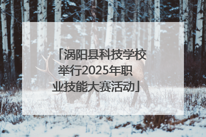 涡阳县科技学校举行2025年职业技能大赛活动