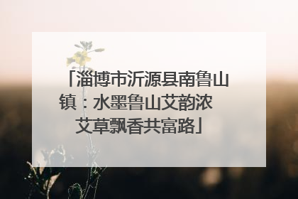 淄博市沂源县南鲁山镇：水墨鲁山艾韵浓 艾草飘香共富路