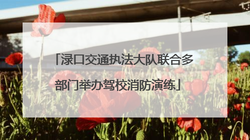 渌口交通执法大队联合多部门举办驾校消防演练