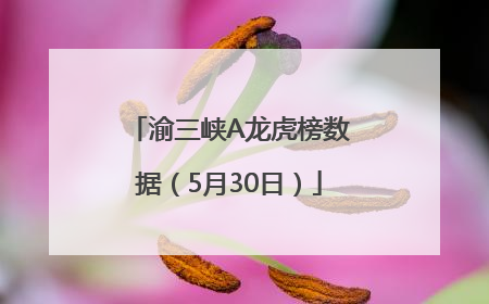 渝三峡A龙虎榜数据（5月30日）