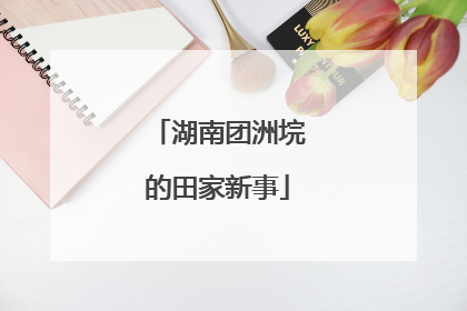 湖南团洲垸的田家新事