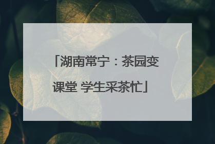 湖南常宁：茶园变课堂 学生采茶忙