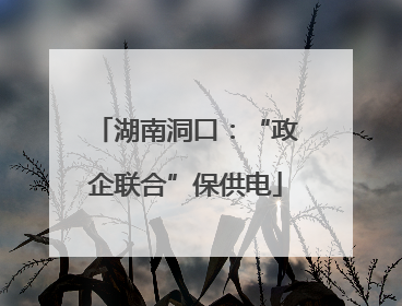 湖南洞口：“政企联合”保供电