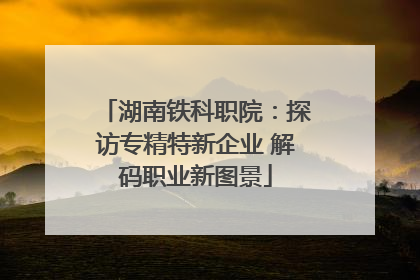 湖南铁科职院：探访专精特新企业 解码职业新图景