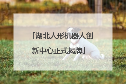 湖北人形机器人创新中心正式揭牌