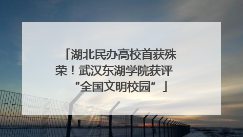 湖北民办高校首获殊荣！武汉东湖学院获评“全国文明校园”