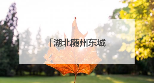湖北随州东城派出所开展禁毒宣传活动