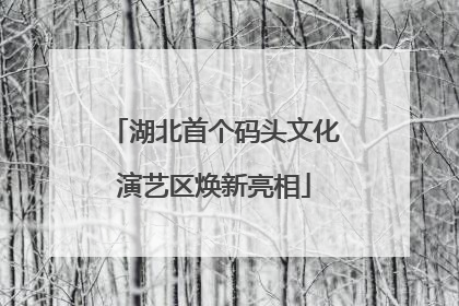 湖北首个码头文化演艺区焕新亮相