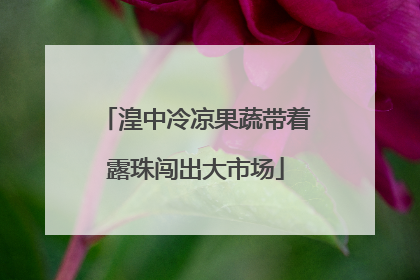 湟中冷凉果蔬带着露珠闯出大市场