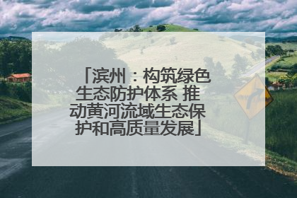 滨州：构筑绿色生态防护体系 推动黄河流域生态保护和高质量发展