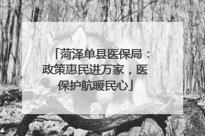 菏泽单县医保局：政策惠民进万家，医保护航暖民心