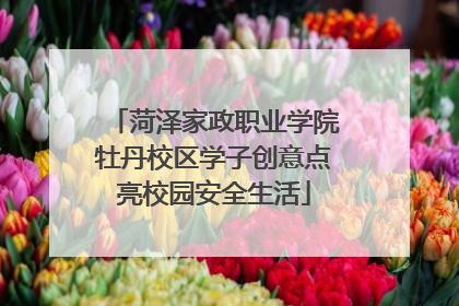 菏泽家政职业学院牡丹校区学子创意点亮校园安全生活