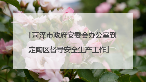 菏泽市政府安委会办公室到定陶区督导安全生产工作