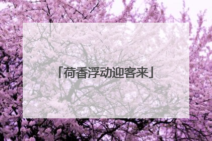 荷香浮动迎客来