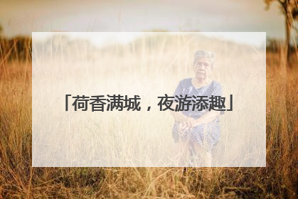 荷香满城，夜游添趣