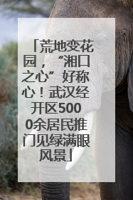 荒地变花园，“湘口之心”好称心！武汉经开区5000余居民推门见绿满眼风景
