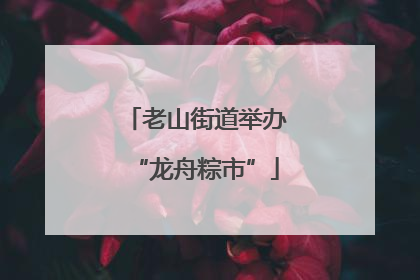 老山街道举办“龙舟粽市”