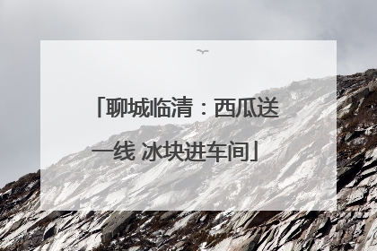 聊城临清：西瓜送一线 冰块进车间