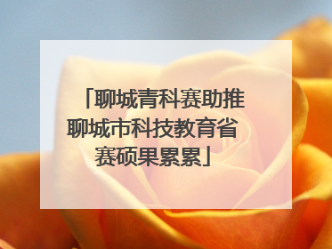 聊城青科赛助推聊城市科技教育省赛硕果累累