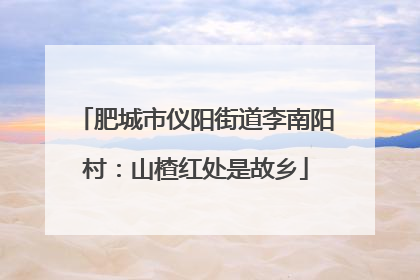 肥城市仪阳街道李南阳村：山楂红处是故乡