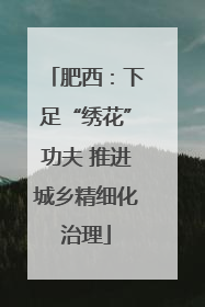 肥西：下足“绣花”功夫 推进城乡精细化治理