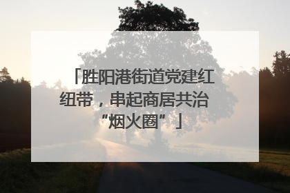 胜阳港街道党建红纽带，串起商居共治 “烟火圈”