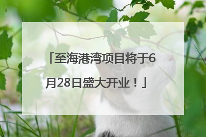 至海港湾项目将于6月28日盛大开业！