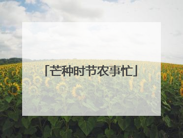 芒种时节农事忙