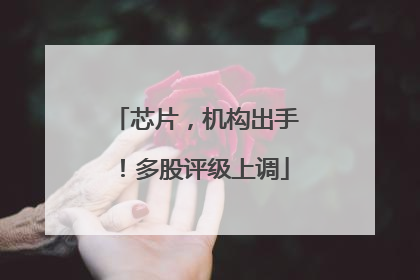 芯片，机构出手！多股评级上调
