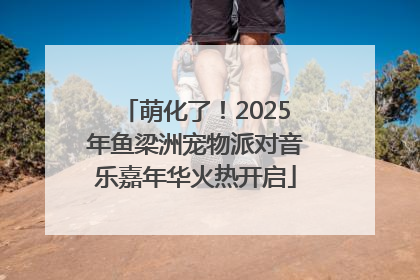 萌化了！2025年鱼梁洲宠物派对音乐嘉年华火热开启