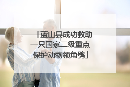 蓝山县成功救助一只国家二级重点保护动物领角鸮