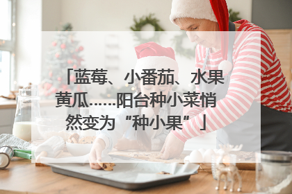 蓝莓、小番茄、水果黄瓜……阳台种小菜悄然变为“种小果”