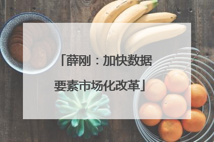 薛刚：加快数据要素市场化改革