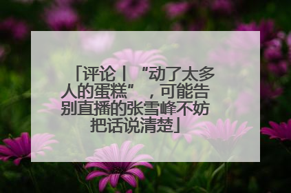 评论丨“动了太多人的蛋糕”，可能告别直播的张雪峰不妨把话说清楚