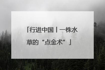 行进中国丨一株水草的“点金术”